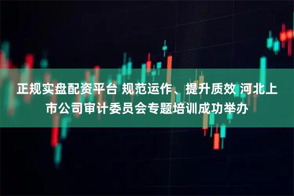 正规实盘配资平台 规范运作、提升质效 河北上市公司审计委员会专题培训成功举办