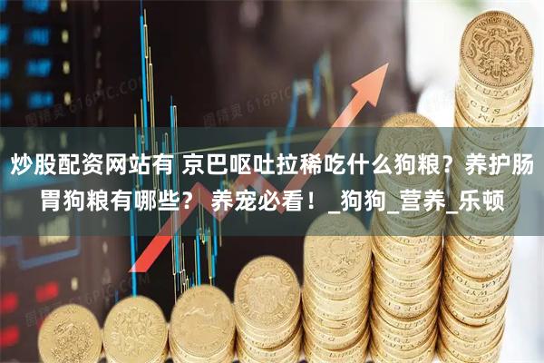 炒股配资网站有 京巴呕吐拉稀吃什么狗粮？养护肠胃狗粮有哪些？ 养宠必看！_狗狗_营养_乐顿