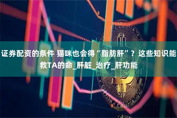 证券配资的条件 猫咪也会得“脂肪肝”？这些知识能救TA的命_肝脏_治疗_肝功能